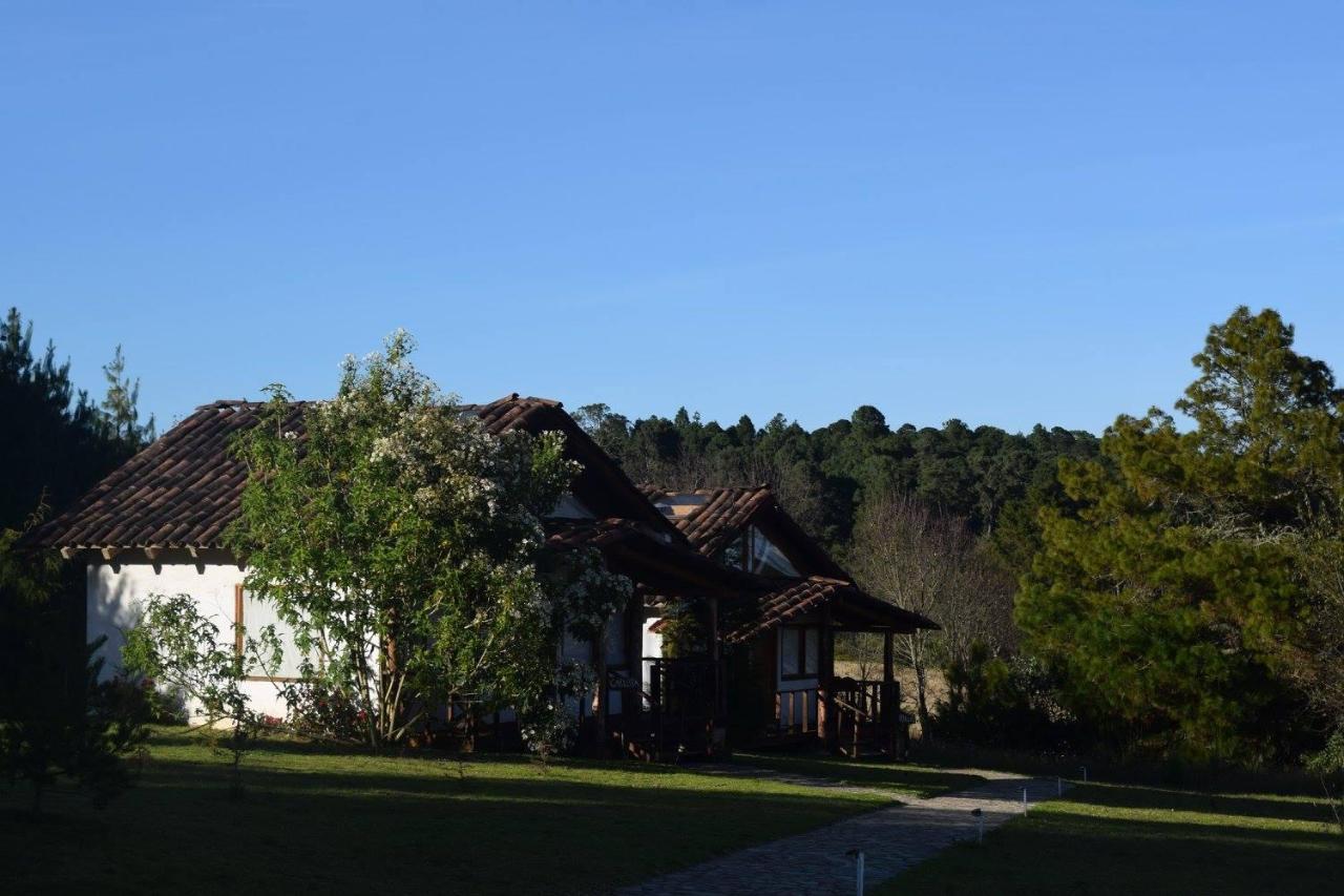 Hotel Casa Kitsch Zacatlán Zewnętrze zdjęcie