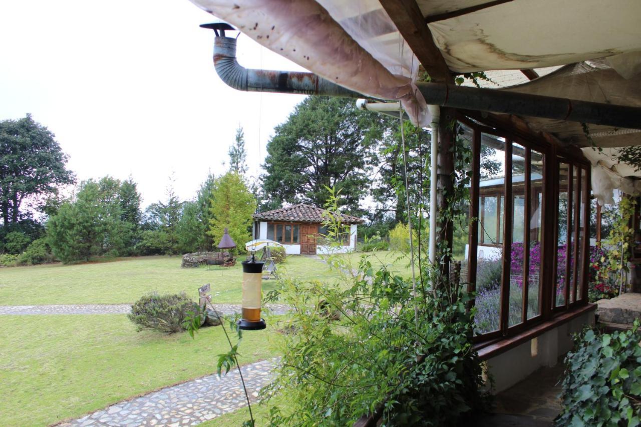 Hotel Casa Kitsch Zacatlán Zewnętrze zdjęcie