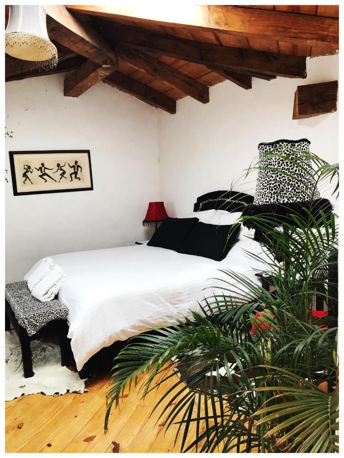 Hotel Casa Kitsch Zacatlán Zewnętrze zdjęcie