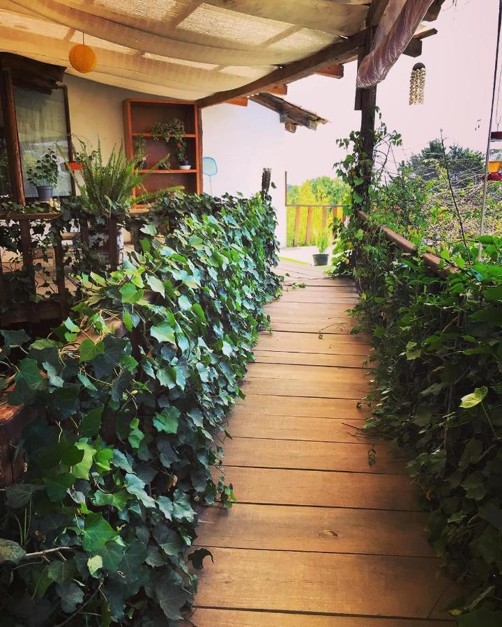 Hotel Casa Kitsch Zacatlán Zewnętrze zdjęcie
